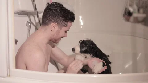 Refreshing: Take a break and watch this refreshing video of a guy giving his Stock Footage 241043110