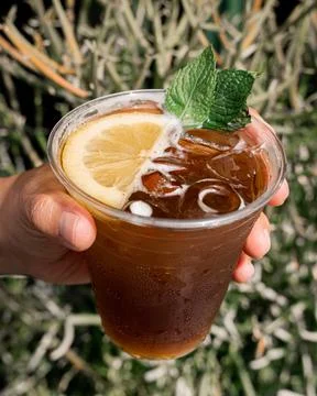 Refreshing tonic with ice and a slice of lemon. Stock Photos