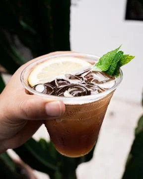 Refreshing tonic with ice and a slice of lemon. Stock Photos
