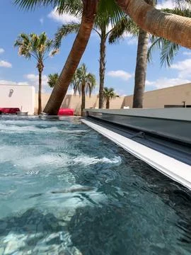 Refreshing water with palm trees by poolside Fotos de archivo