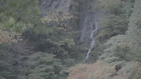 Refreshing Waterfall Flowing Through Lush Green Forest Log Stock Footage 340540904