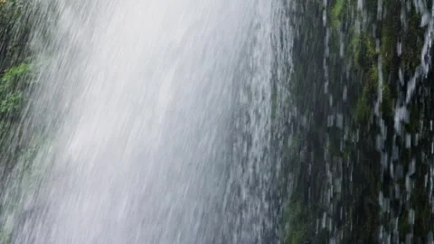 Refreshing waterfall in a natural park close up Stock Footage 242924103