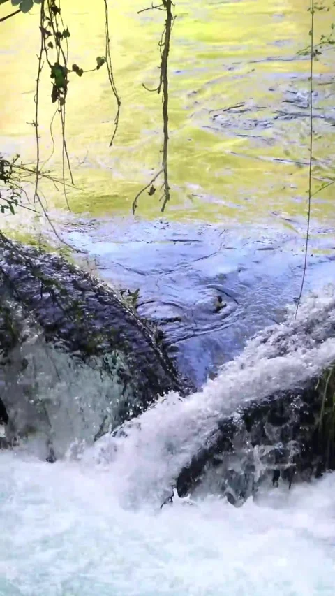 Refreshing Waterfall Stream Sounds for Deep Relaxation Stock Footage 274263227