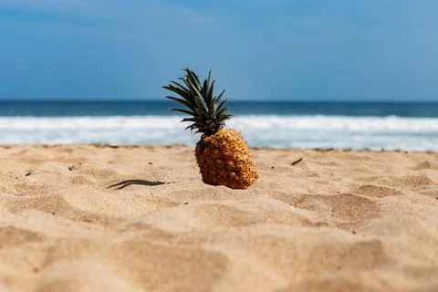 Refreshing yellow pineapple isolated on a beach during a summer day Foto stock