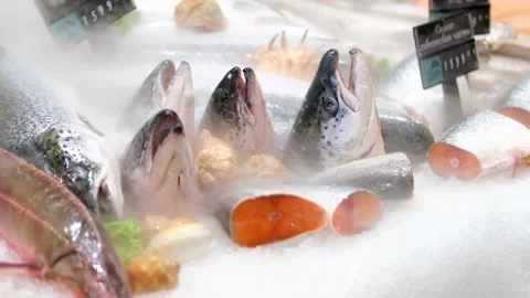 Refrigerated showcase with salmon in the store. Stock Footage 208336665