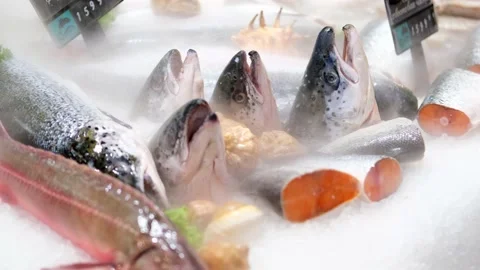 Refrigerated showcase with salmon in the store. Stock Footage 208336782