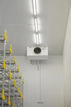 Refrigerated Warehouse Cold Stock Photos