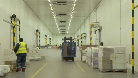 Refrigerated Workers 動画素材 123018543