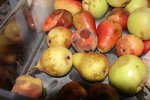 Refrigerator drawer showing missing fruit. Stock Photos