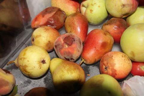 Refrigerator drawer showing missing fruit. Stock Photos