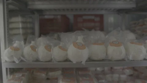 Refrigerator filled with different packaged cheeses. Stock Footage 222014938