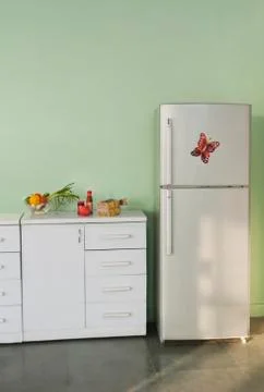 Refrigerator in the kitchen 스톡 사진