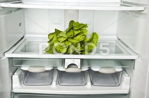 Refrigerator Stock Photos