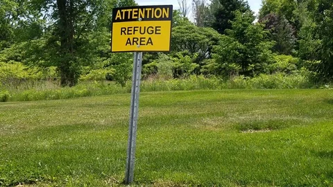 Refuge Area Video stock 90867706