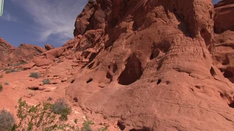 Refuge from the hot sun Video stock 50700961