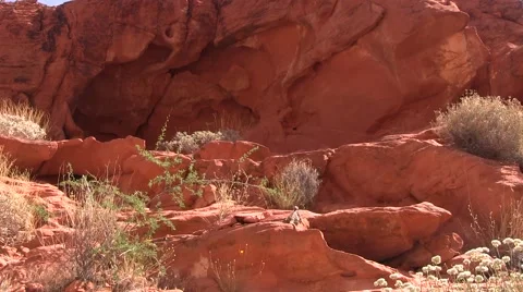 Refuge in the wall Video stock 50702296