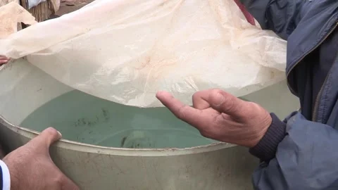 Refugee camp  Stock-Footage 254735023