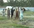 Refugee Children Playing Cricket in UNHCR camp, Pakistan SD Footage