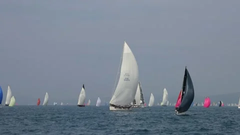 Regatta in Barcolana Stock Footage 254583019