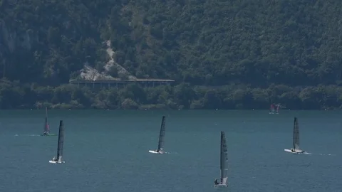 Regatta of catamarans 動画素材 90586556