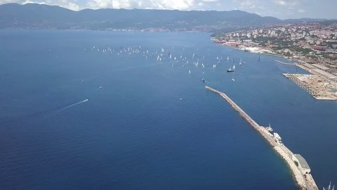 Regatta Vidéo 90885709