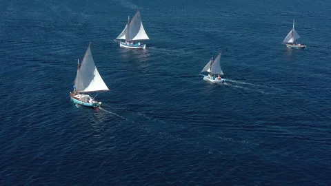 Regatta Vidéo 251464377
