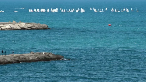 Regatta Optimist Video stock 43301196