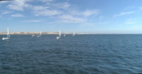 Regatta in the Sea Stock-Footage 107156869