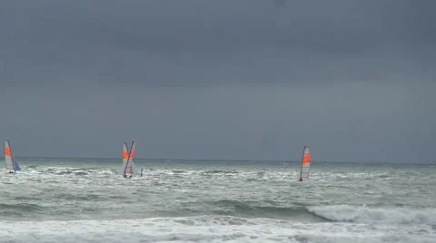 Regatta of windsurfing board Video stock 50011927