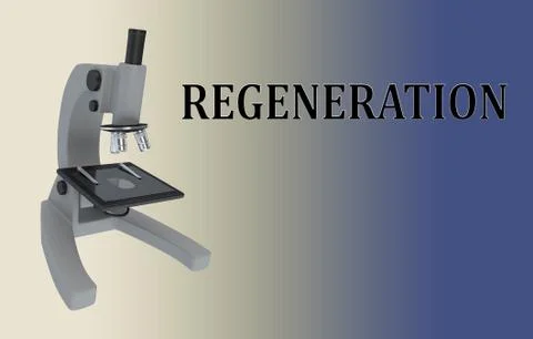 REGENERATION - biological concept Stock Illustration