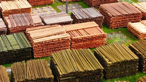 Regenerative Forestry Timber Storage, Brankas, Jelgava Municipality, Latvia Stock Footage 340596957