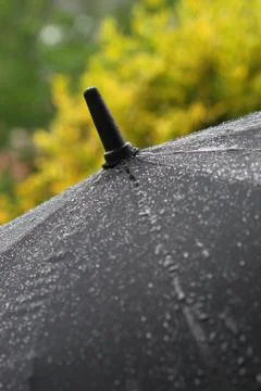 Regenschirm Stock Photos