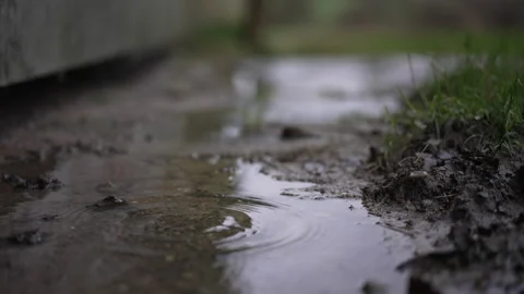 Regentropfen in einer Pfütze Stock Footage 219023624