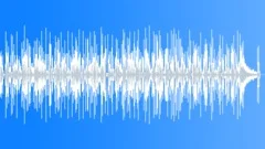 Reggae Beach Swing No 04 Easy Reggae 155 B 75 bpm Stock Music