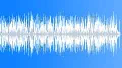 Reggae Beach Swing No 20 Easy Reggae 337 G 75 bpm Stock Music