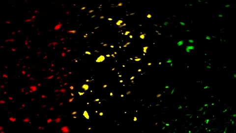 Reggae colors floating particles on black background Video stock 334572808