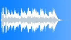 Reggae Night (Stinger) Stock Music