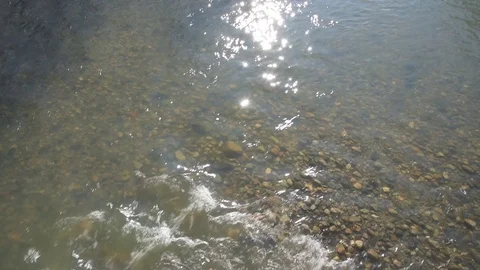 Regional Park of the Herd Video stock 72177658