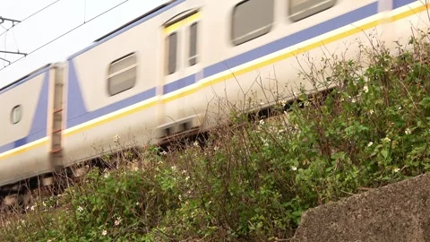 A regional train running on the rails through Miaoli, Taiwan, on April 4, 2025. Stock Footage 305845281