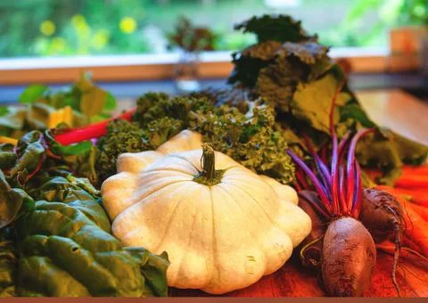 Regionales, saisonales Gemüse in der Küche - - frisch geerntetes Herbstgem. Stock Photos
