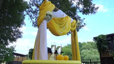 Registration of the wedding ceremony, arch. Stock Footage 138385176