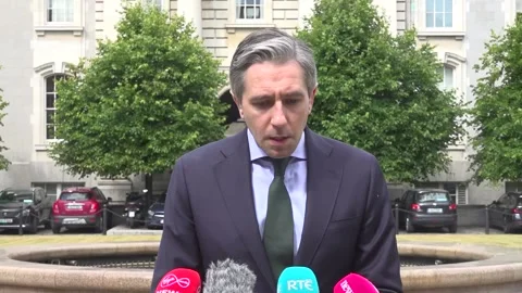 ‘Regrettable’ EU-US deal not yet reached, Harris says Stock-Footage 313079595