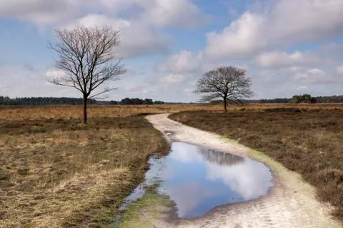 The Regte Heide Stock Photos