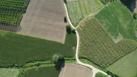 Regular agricultural lands Stock Footage 261585874