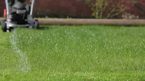 Regular Mowing The Lawn Green Stock Footage 78939488