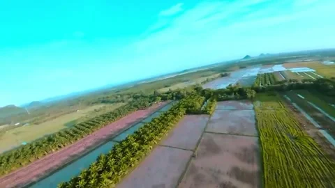 Regular plots of land, irrigation channels 스톡 동영상 329200223