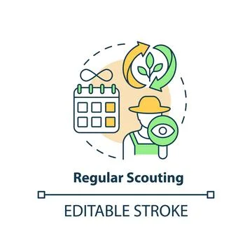 Regular scouting concept icon Stock Illustration