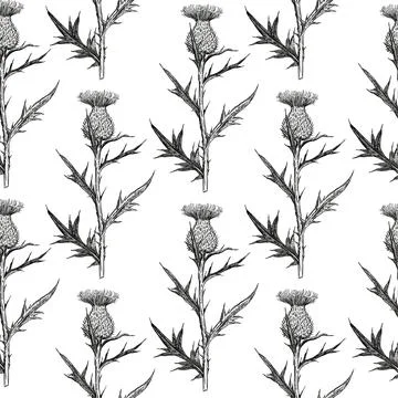 Regular seamless pattern with thistle plants in engraving retro style. Ink Illustrazione stock