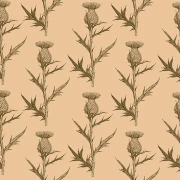 Regular seamless pattern with thistle plants in engraving retro style. Ink Stock Illustration