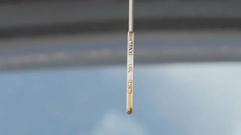 Regularly check your engine oil level with a dipstick for your vehicles optimal Stock Footage 309702167